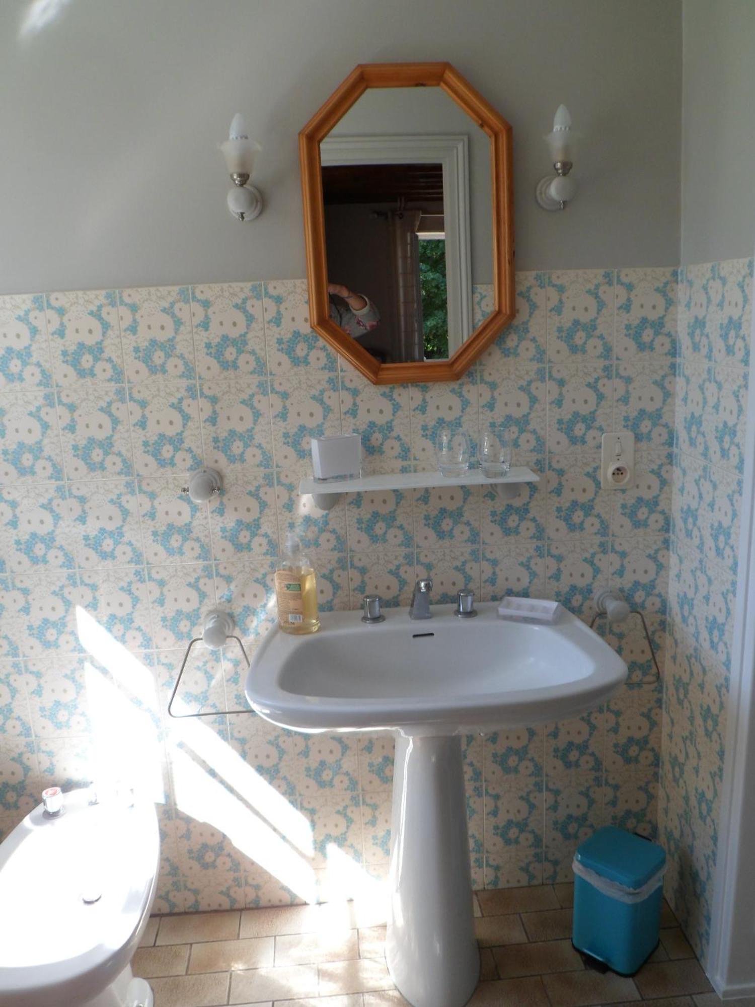 Hotel Domaine de La Héllière Lailly-en-Val Habitación foto