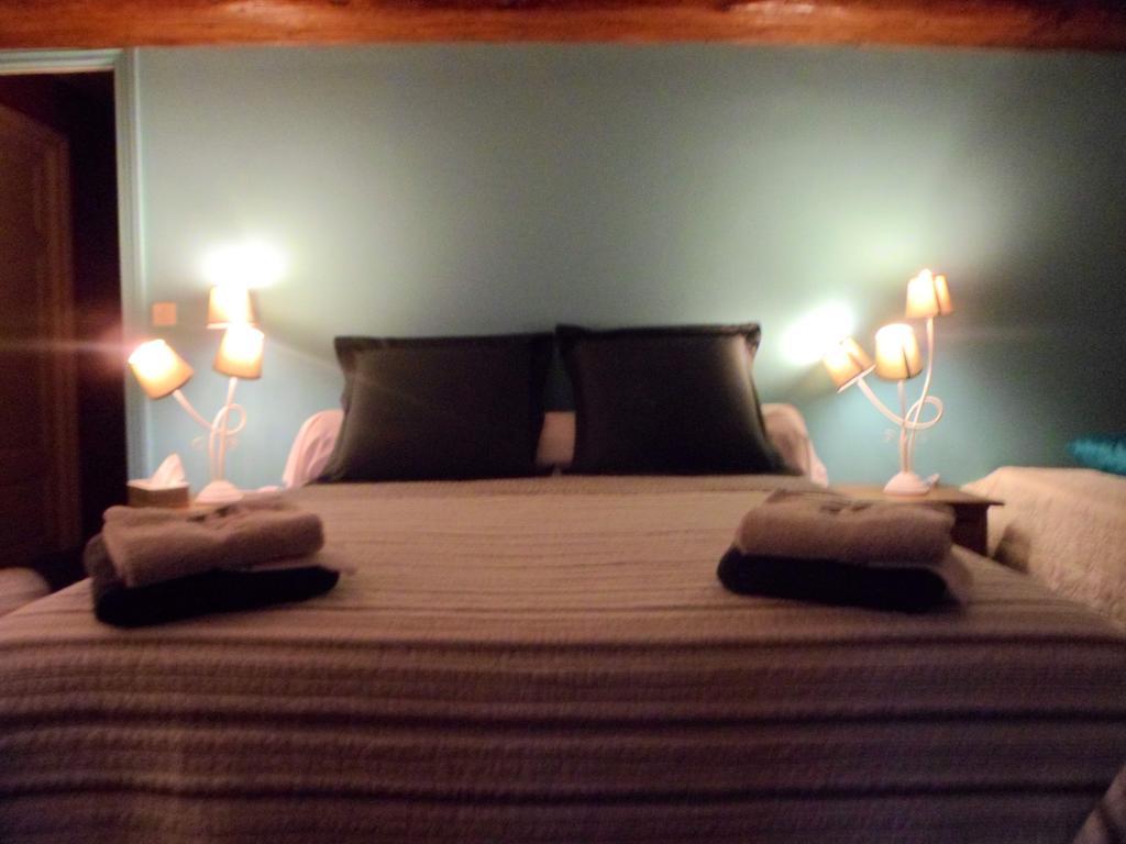 Hotel Domaine de La Héllière Lailly-en-Val Habitación foto